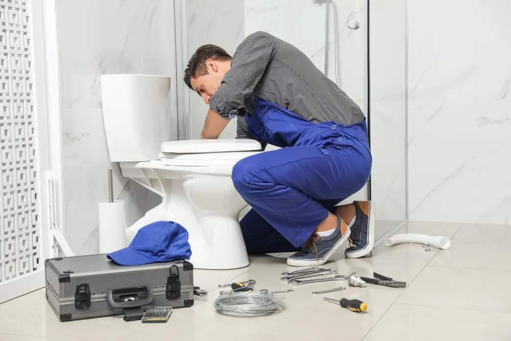 Toilet Installation in Palmetto Estates
